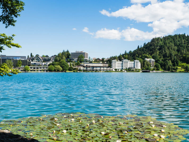 hotel-sava-bled-cremeschnitte