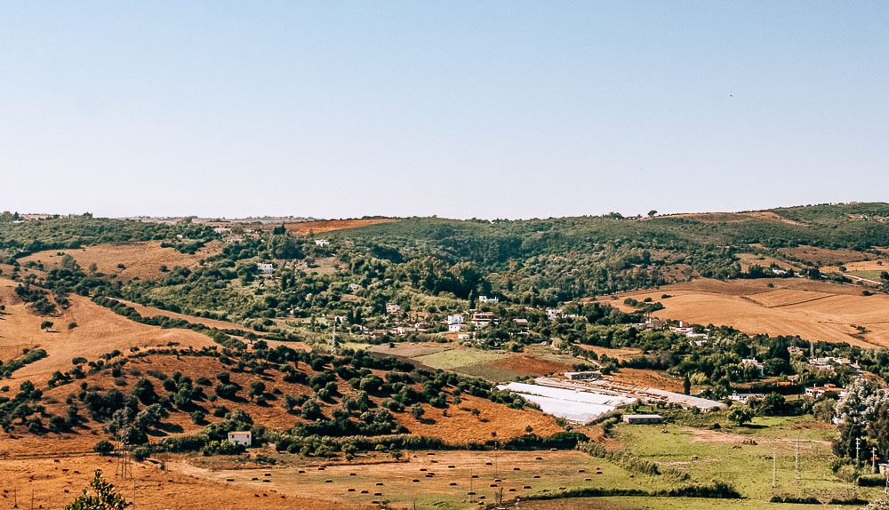 andalusien-gemüse-anbau