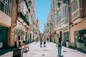 Cadiz-Spaniel