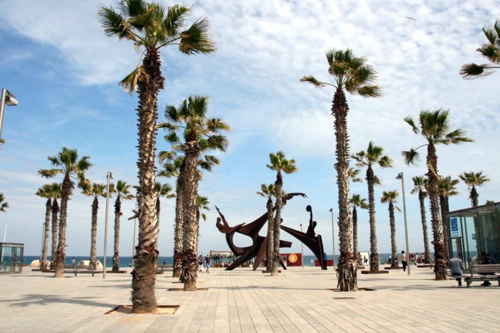 Barceloneta Barcelona