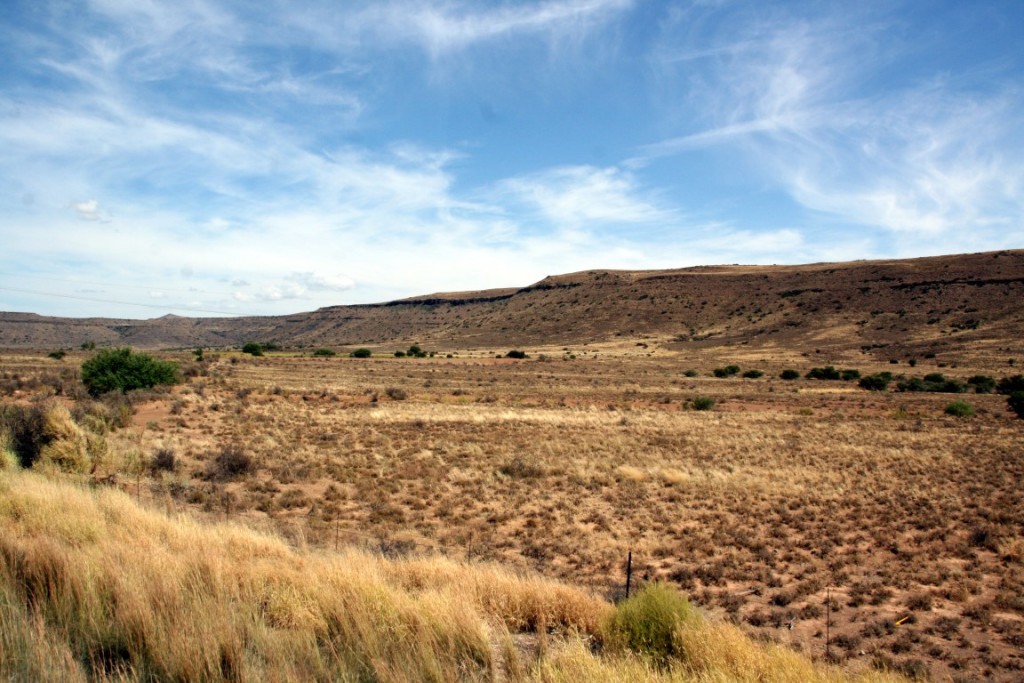 die Weiten der Karoo