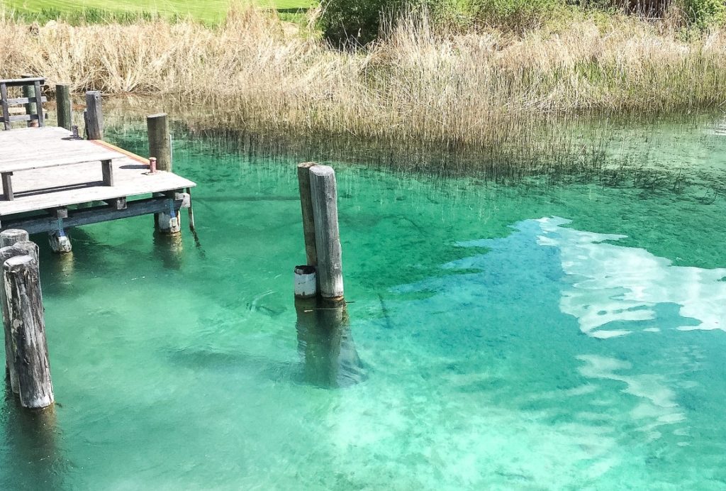 weissensee-wasserqualität