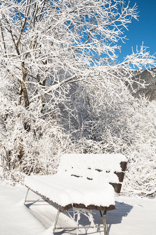 Winter Spaziergang 