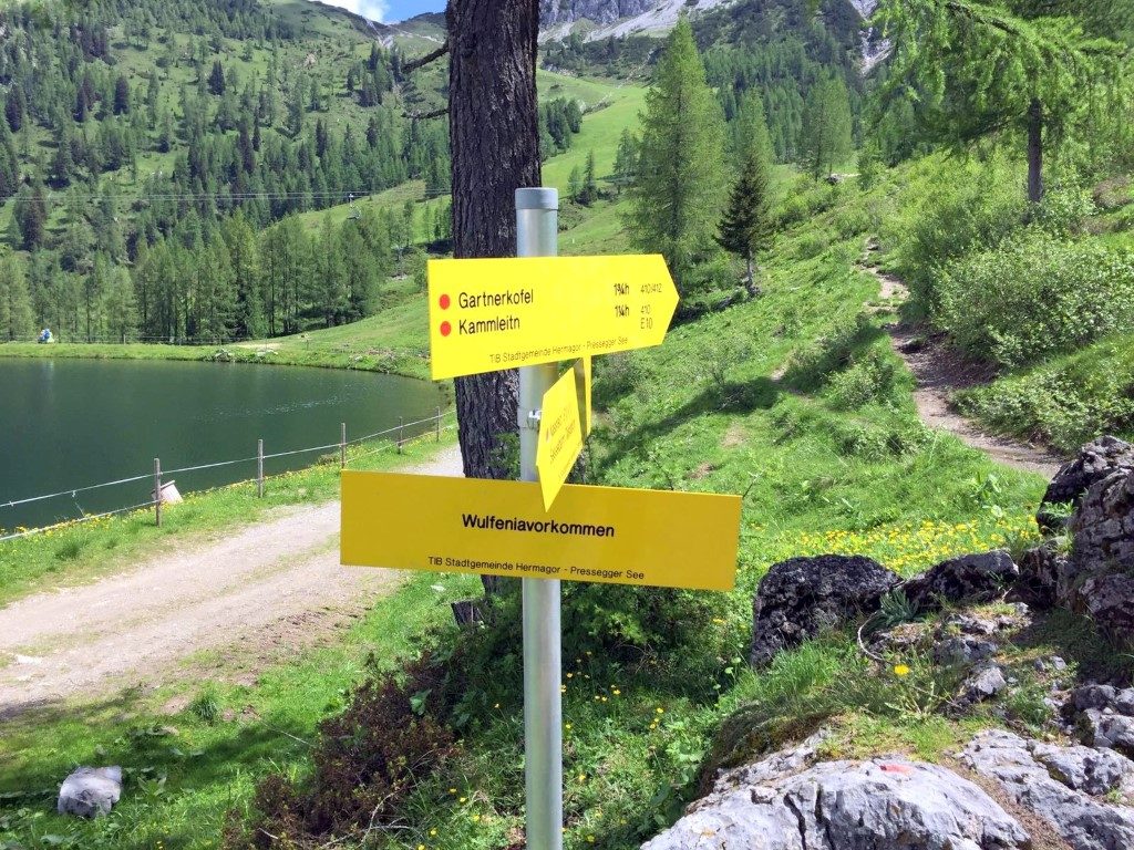 watschiger-alm-gartnerkofel