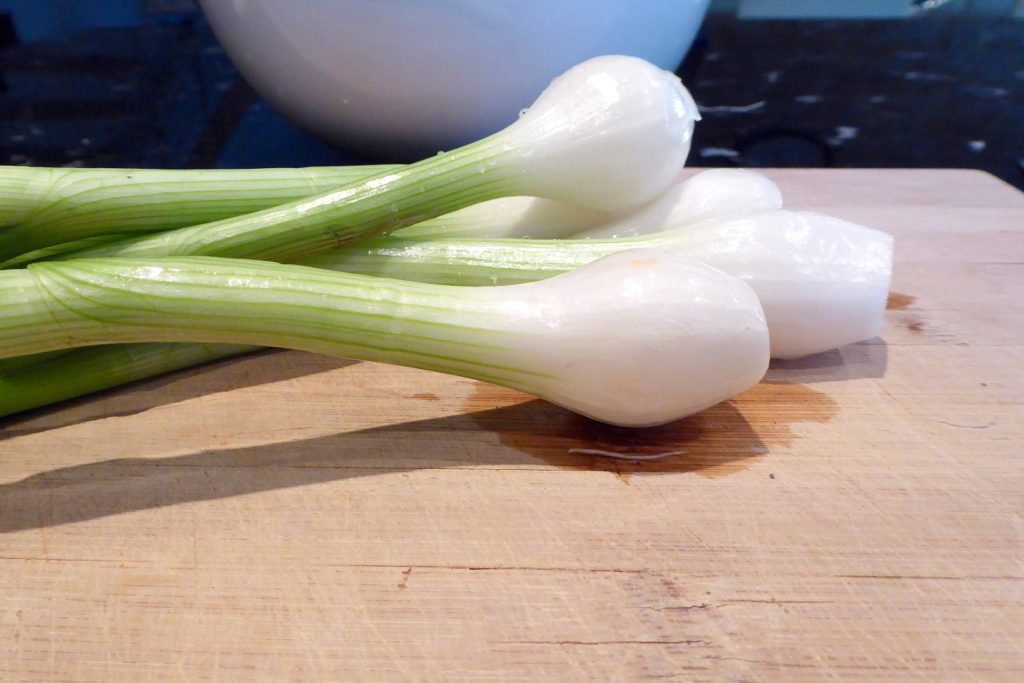 frühlingszwiebel