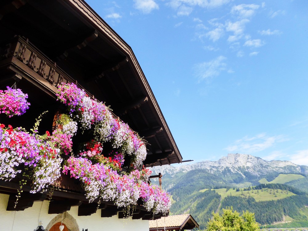 Sinnlehenhof-Leogang