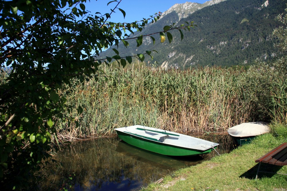 schilfgürtel-presseggersee