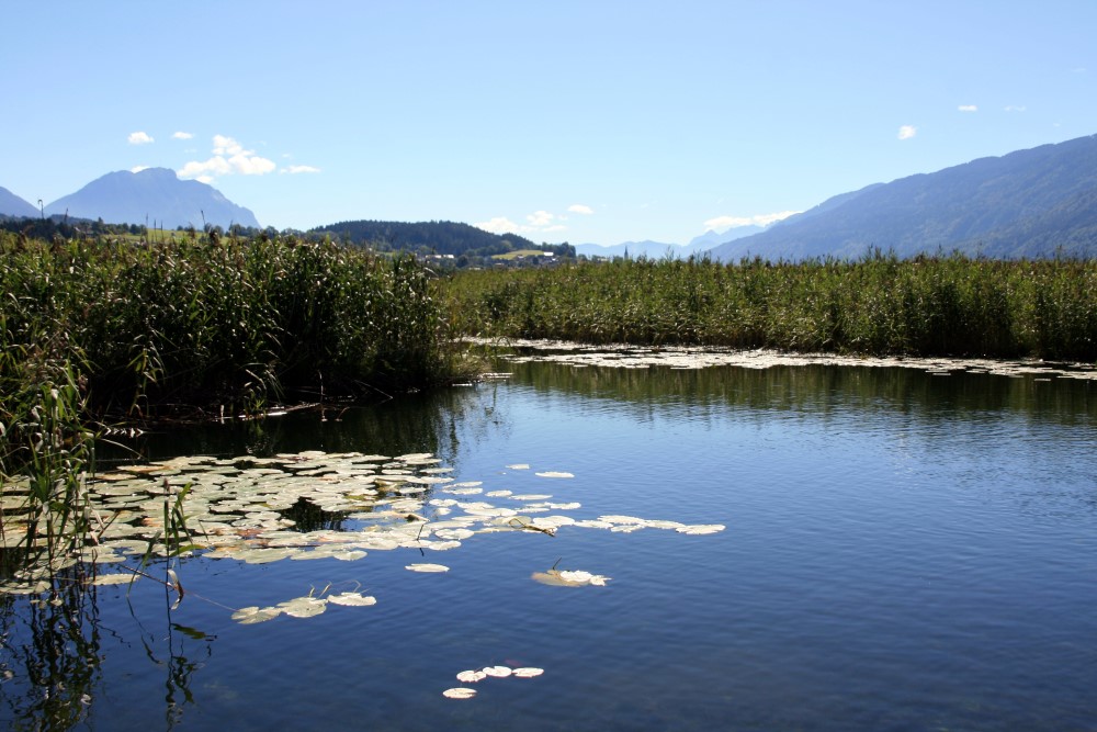 blick-dobratsch-Presseggersee