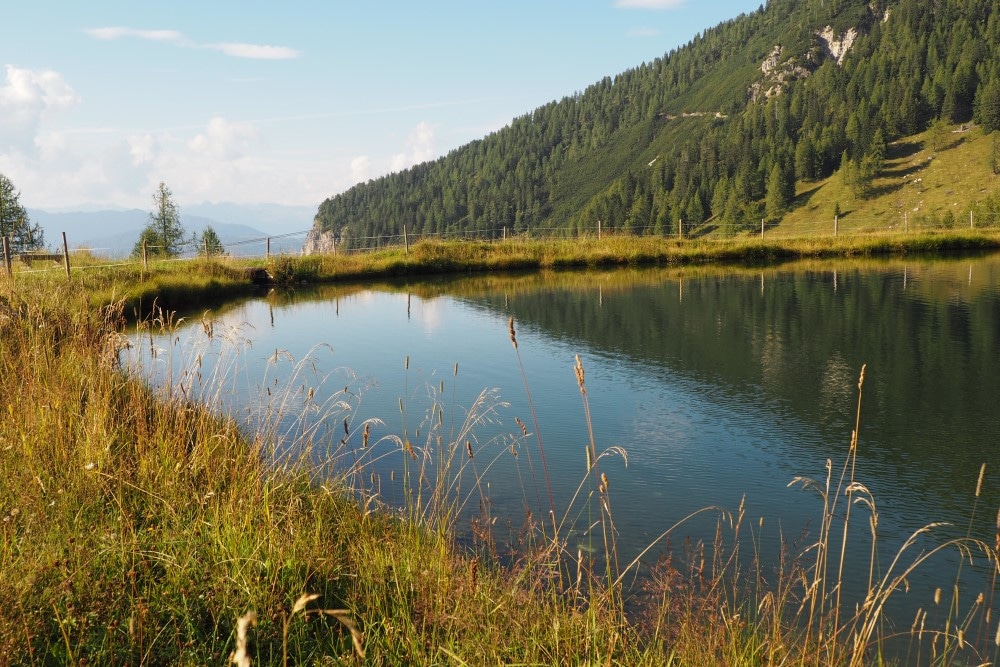 bergsee