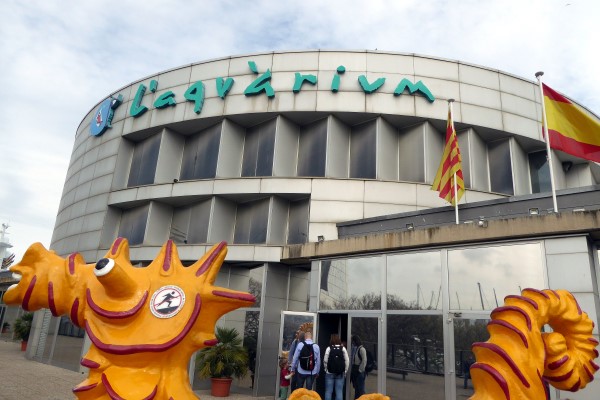 Aquarium Barcelona Schlechtwetter