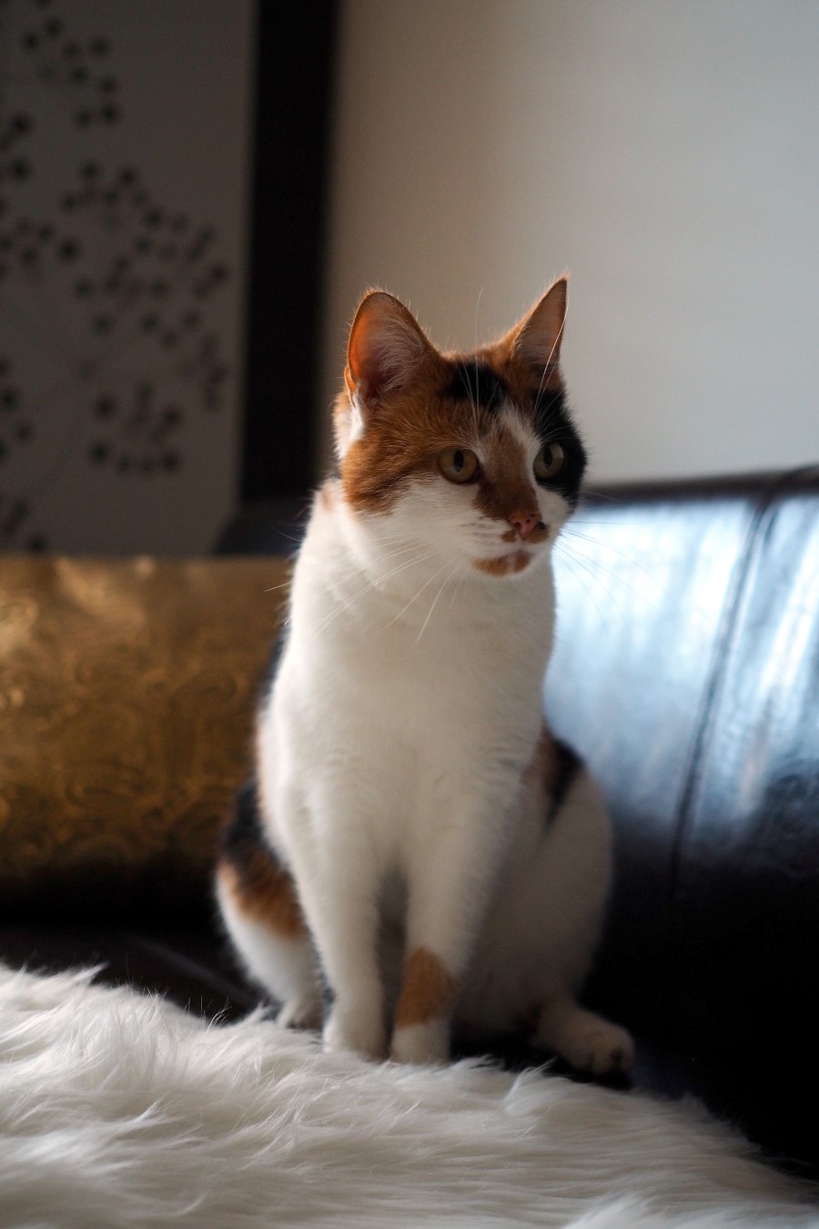 Model in perfekter Pose