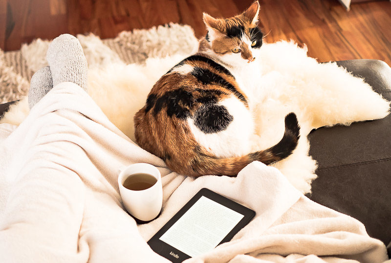 Tee + Couch + Katze = Hygge