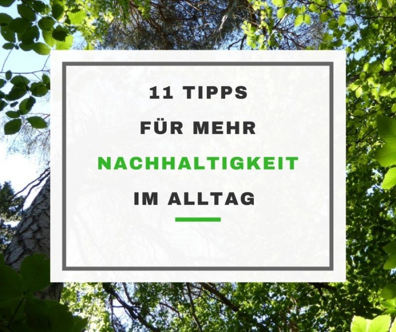 11 einfache Tipps für mehr Nachhaltigkeit im Alltag