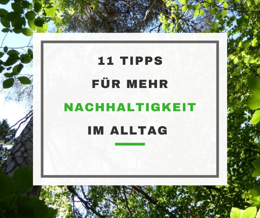 nachhaltiger leben