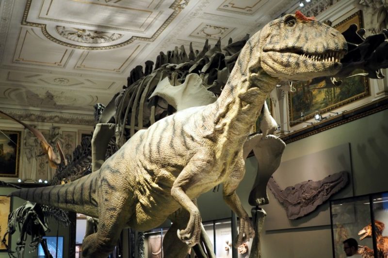 T-Rex Naturhistorisches Museum