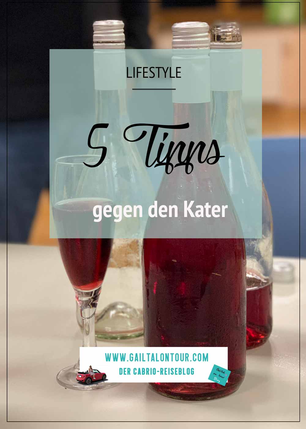 kater-tipps-hilfe