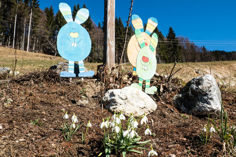 Frühling in Kreuth