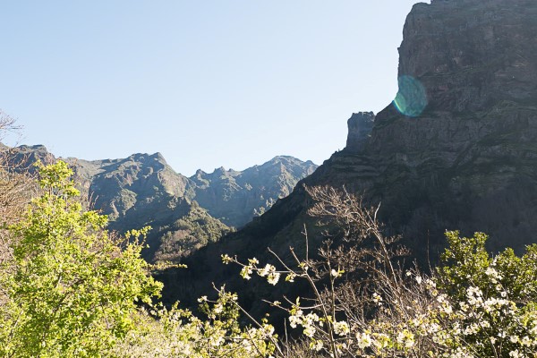 Nonnental Madeira