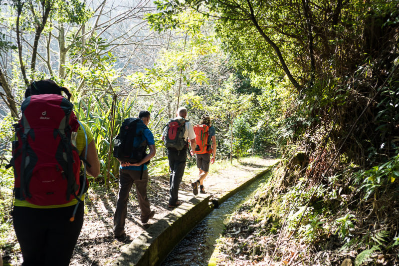 Levada-dos-Tornos