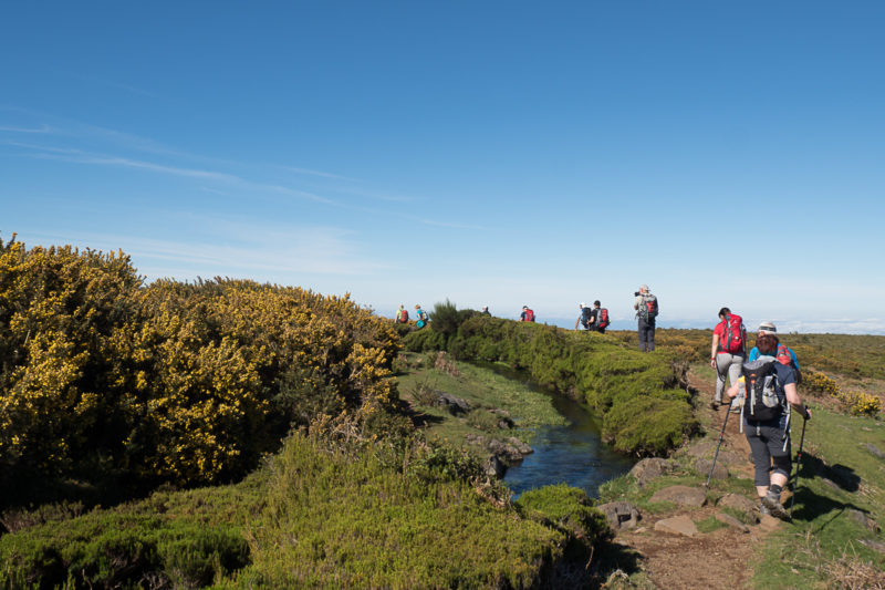 Paul-da-Serra-Madeira