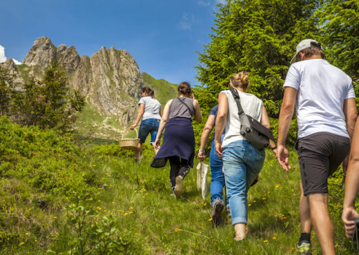 Kräuterwandern Salzburg