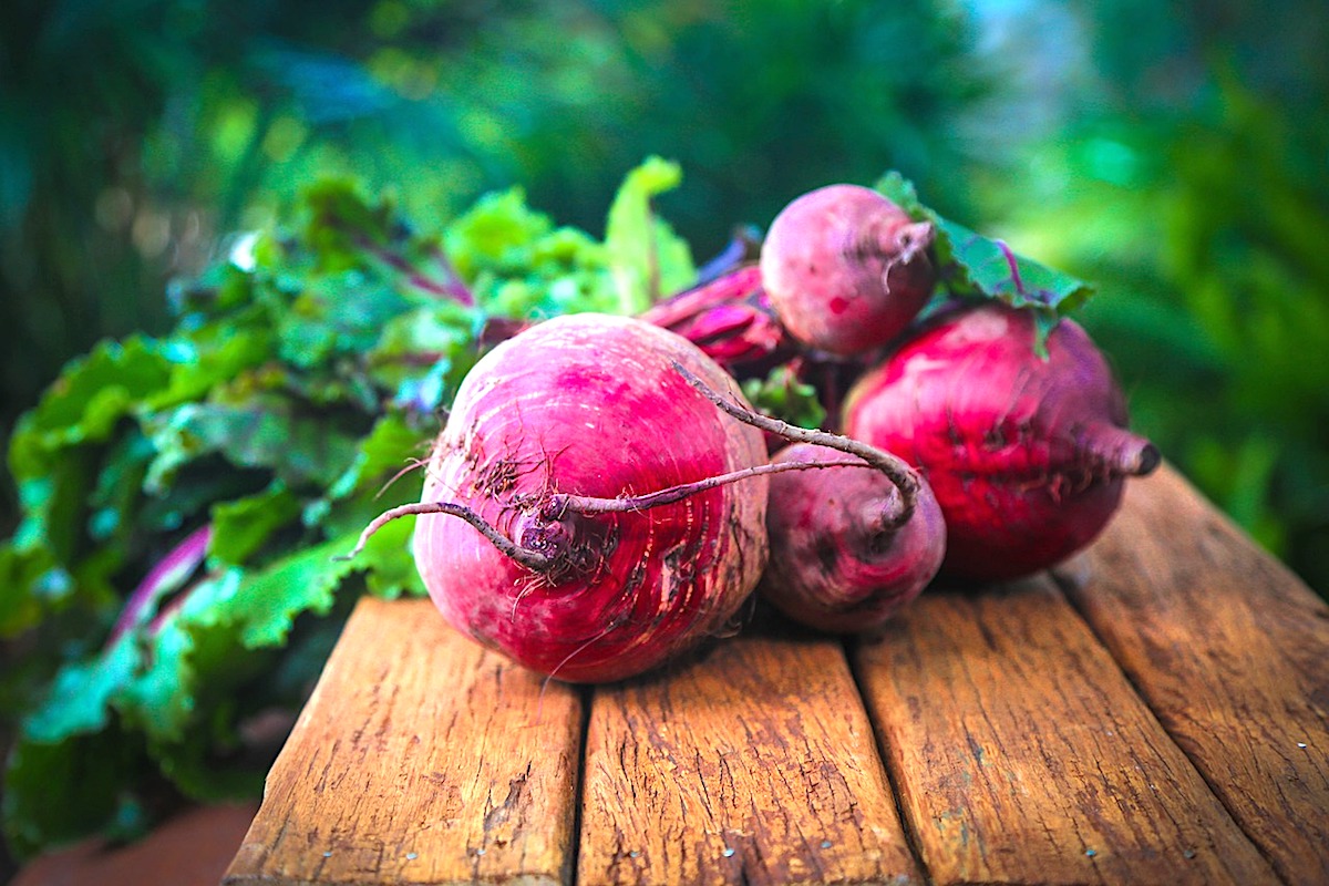 rote-beete-rezept