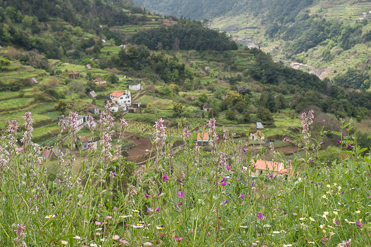 Terrassenkultur Madeira