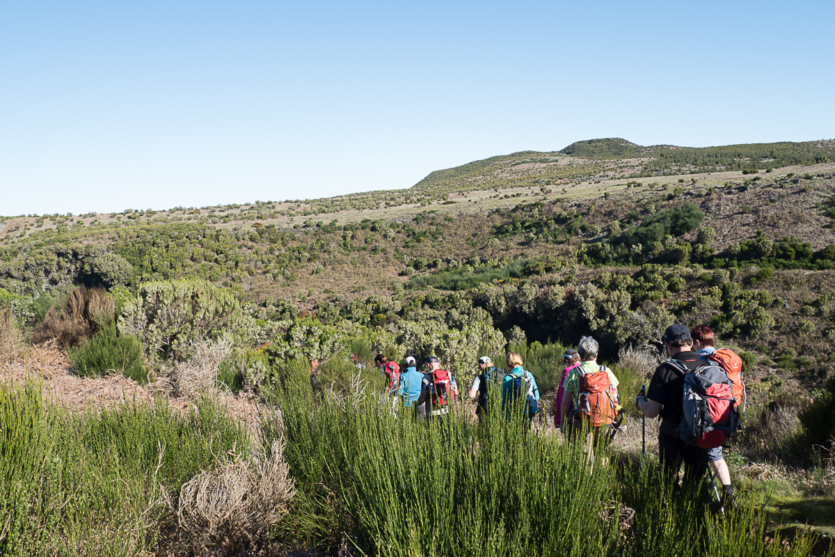 Wandern Hochebene Madeira