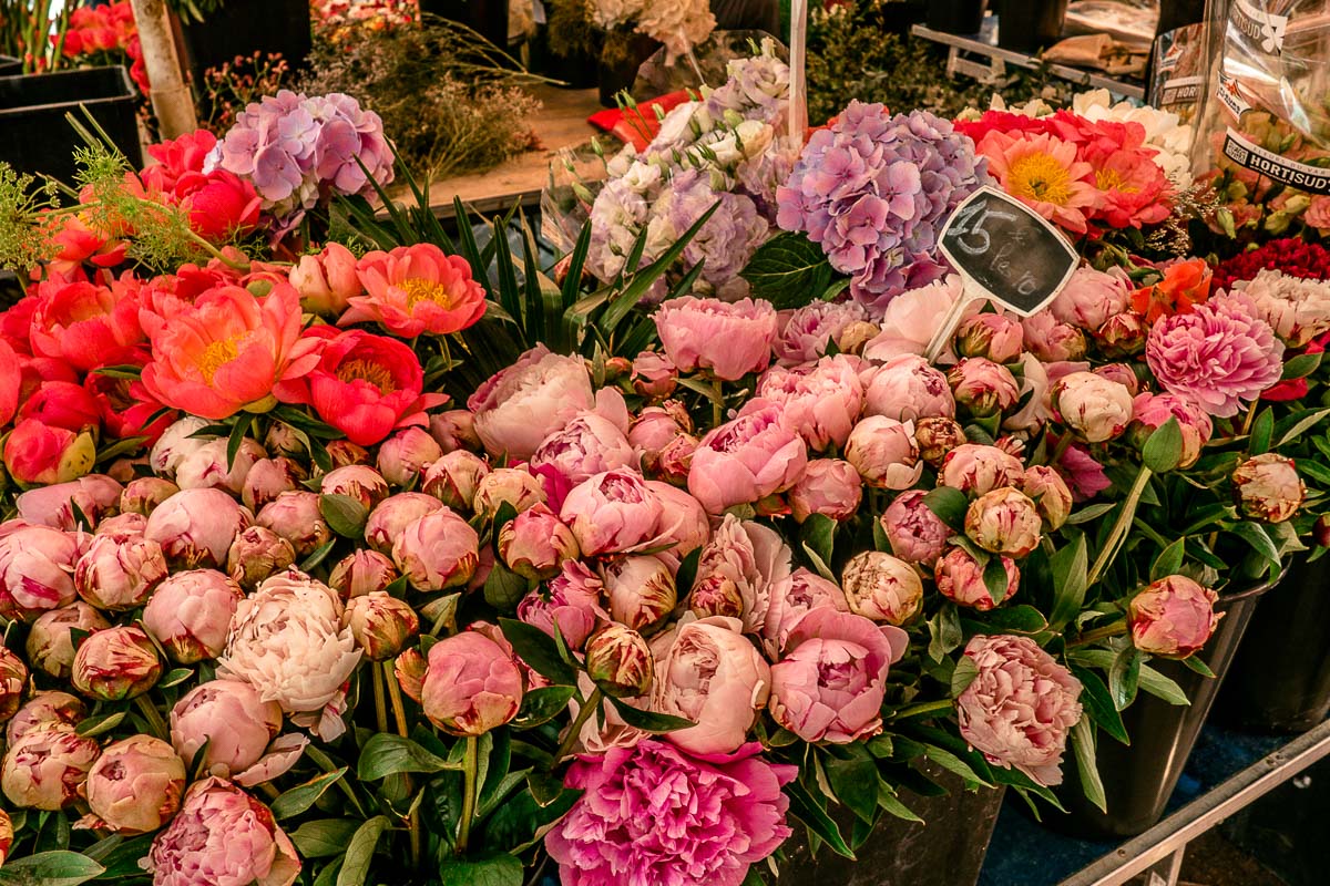 Blumenmarkt-Nizza