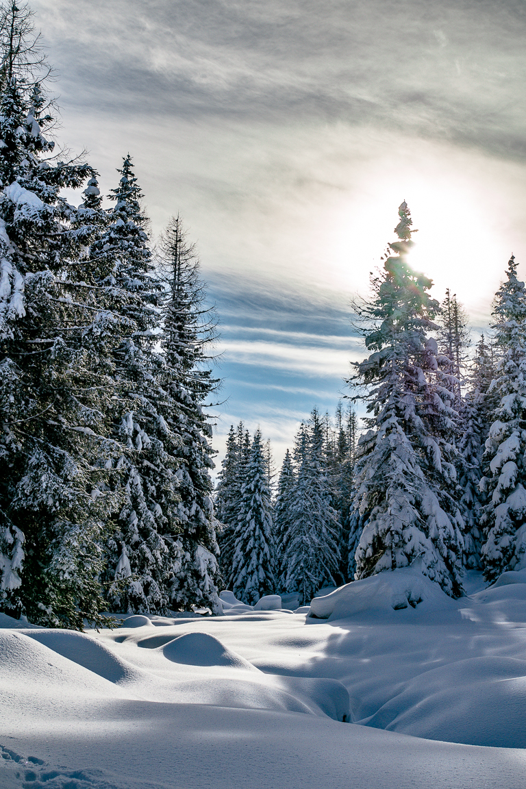 Winter in Kärnten am Nassfeld