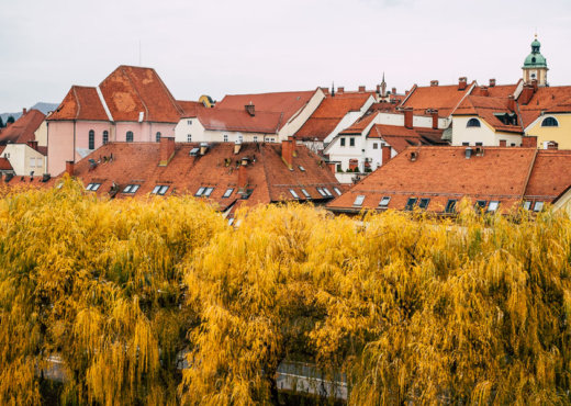 Maribor Slowenien Ausflug