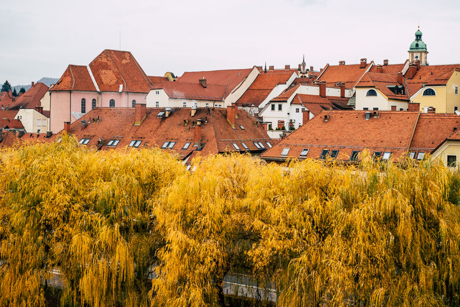 Maribor Slowenien Ausflug