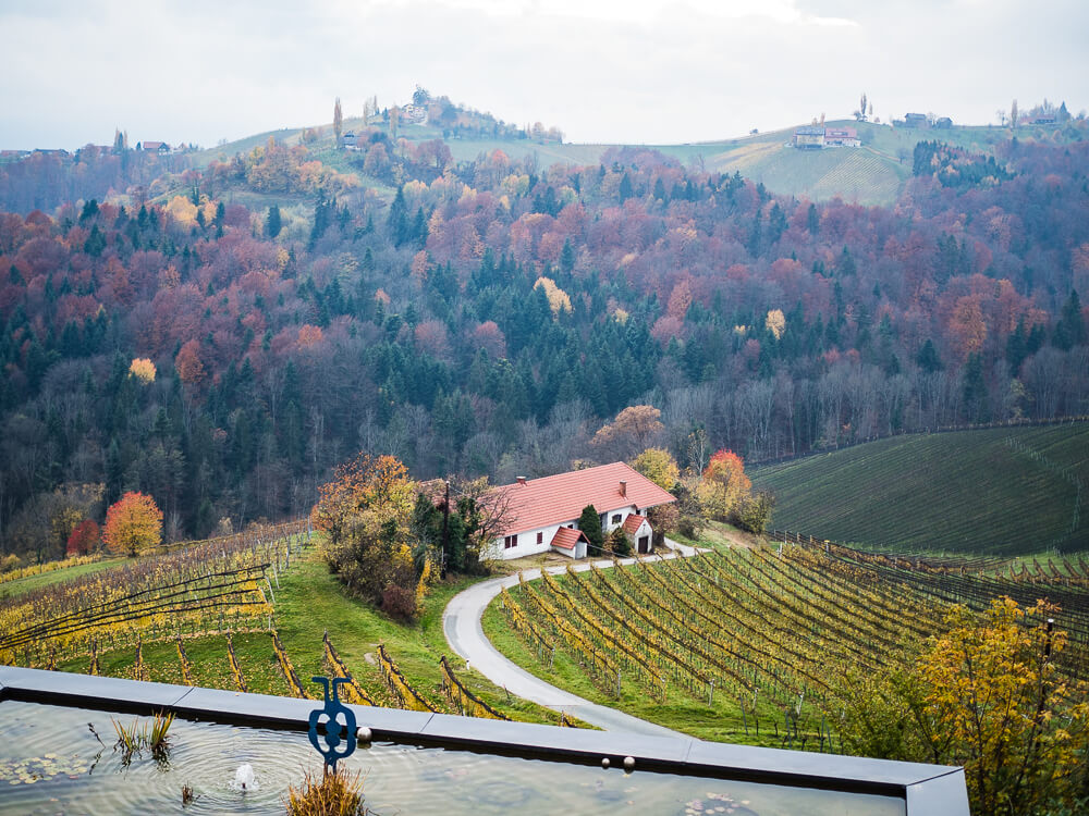 Ausblick Zimmer Hotel Südsteiermark