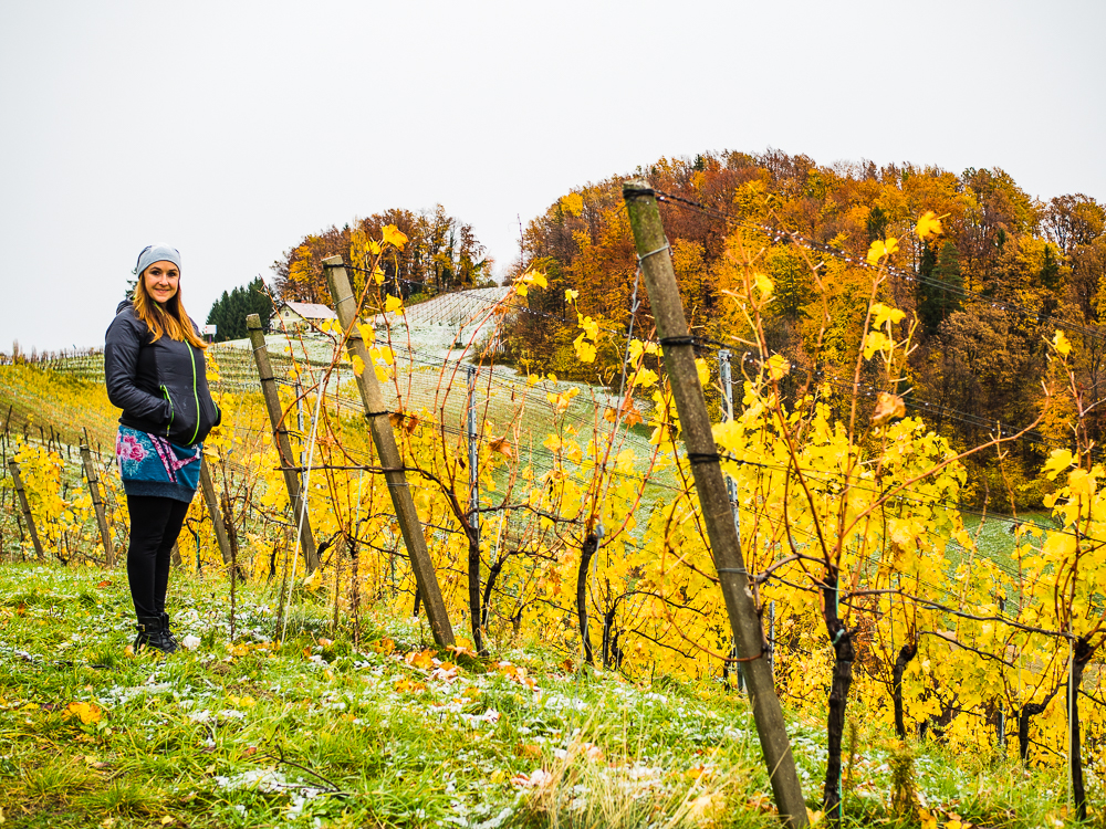 Urlaub Gamlitz Steiermark