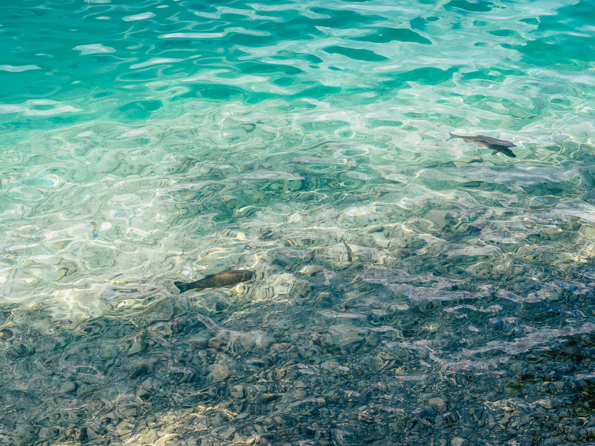 glasklares Wasser Weißensee Kärnten