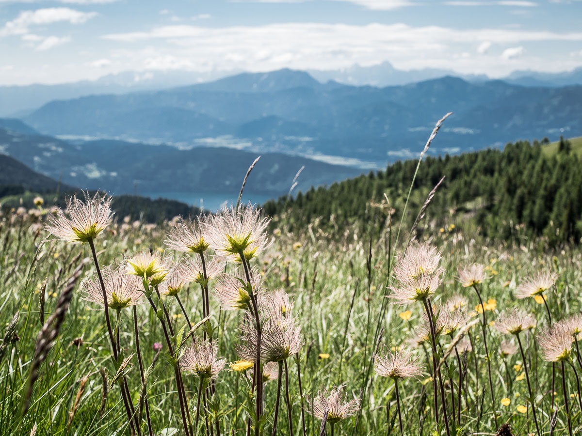 Wandern Kärntner Berge