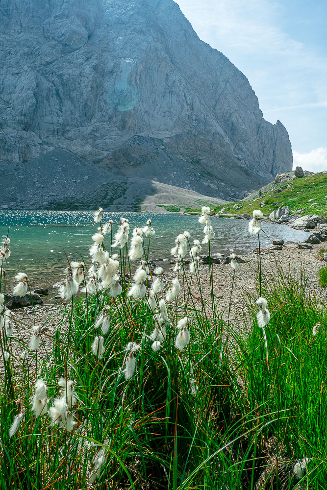 blumen-berge