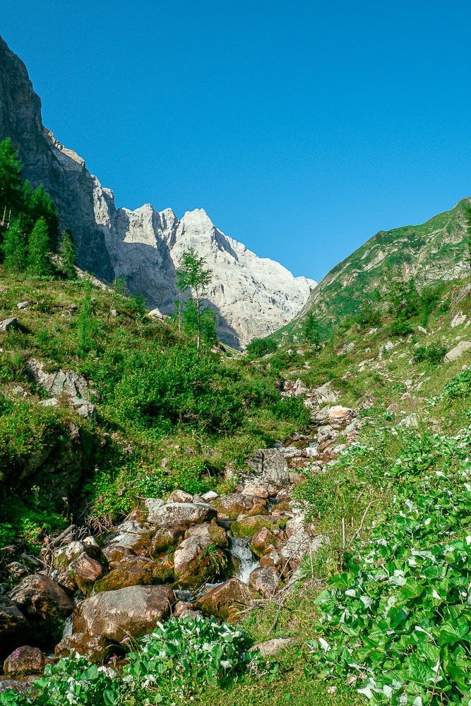 bach-berge