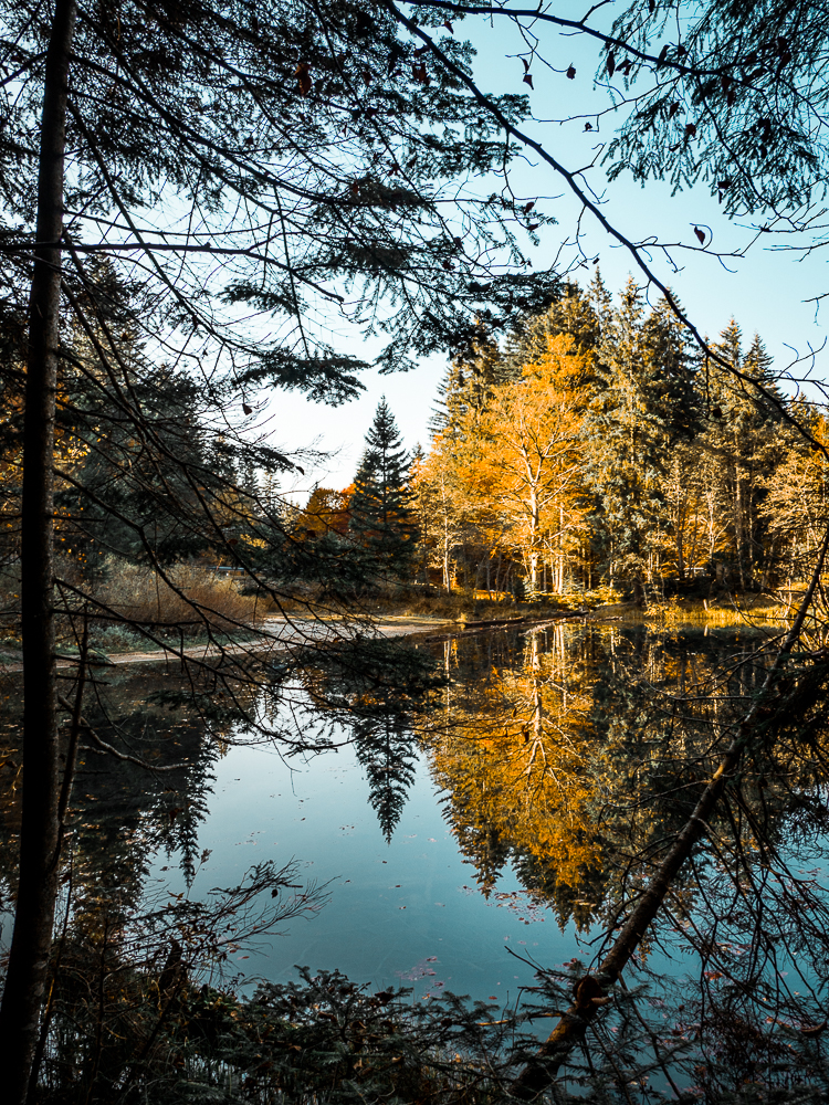 bodensee-nassfeld-herbst-kärnten