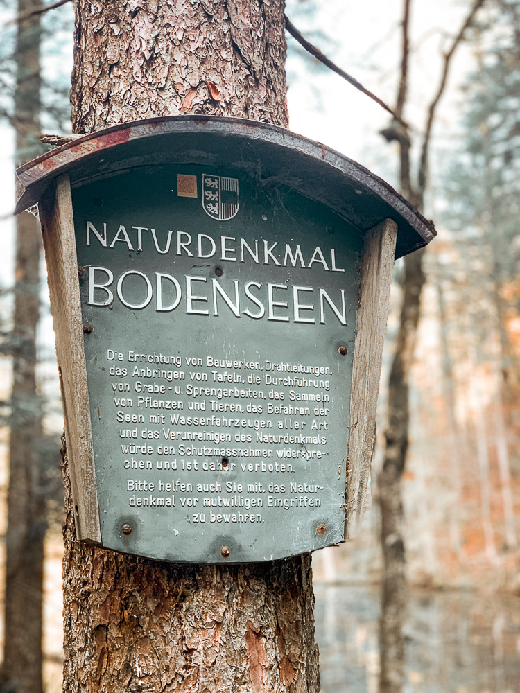 bodensee-nassfeld