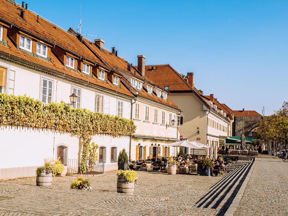 alte-rebe-maribor