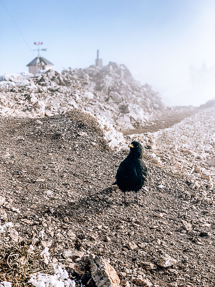 gipfel-dobratsch-nebel