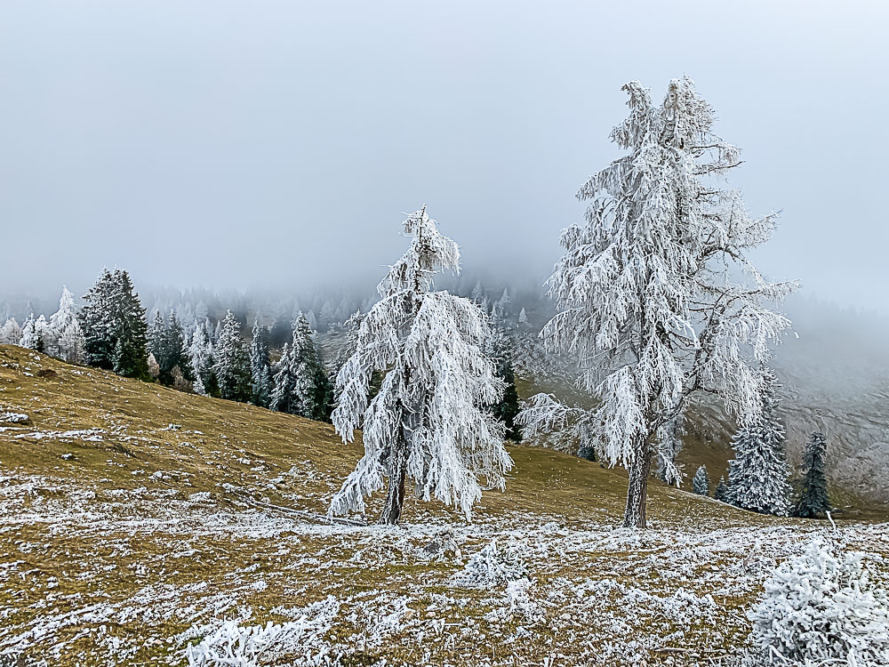 dobratsch-spätherbst