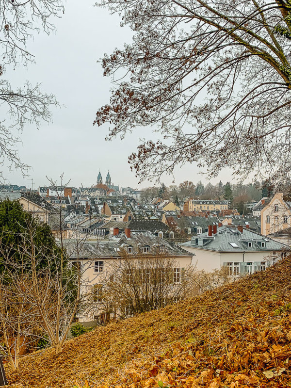 Aussicht-wiesbaden