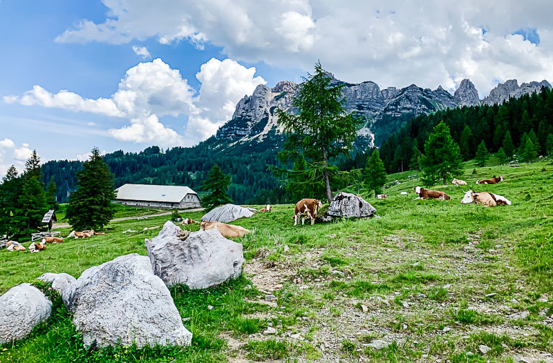 rattendorfer-alm-karnische-alpen