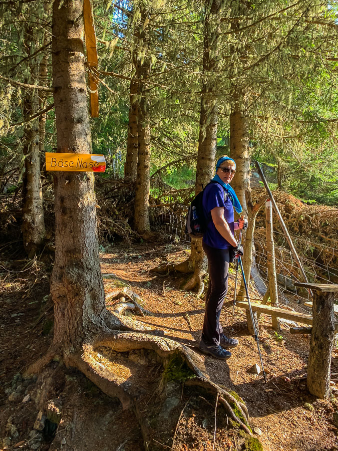 wald-wanderung-drautal