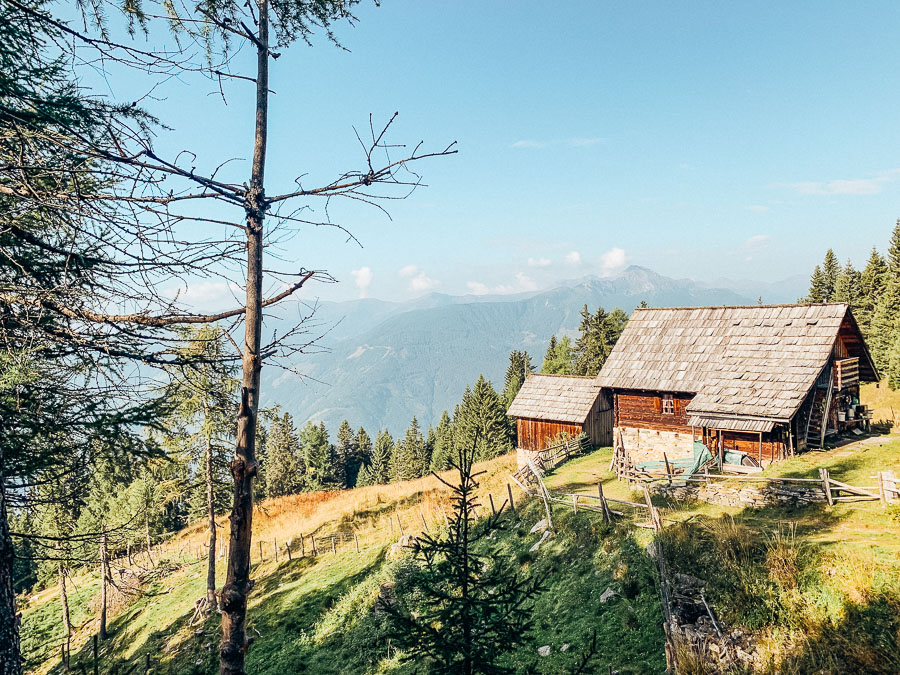 baumgrenze-wanderung-drautal