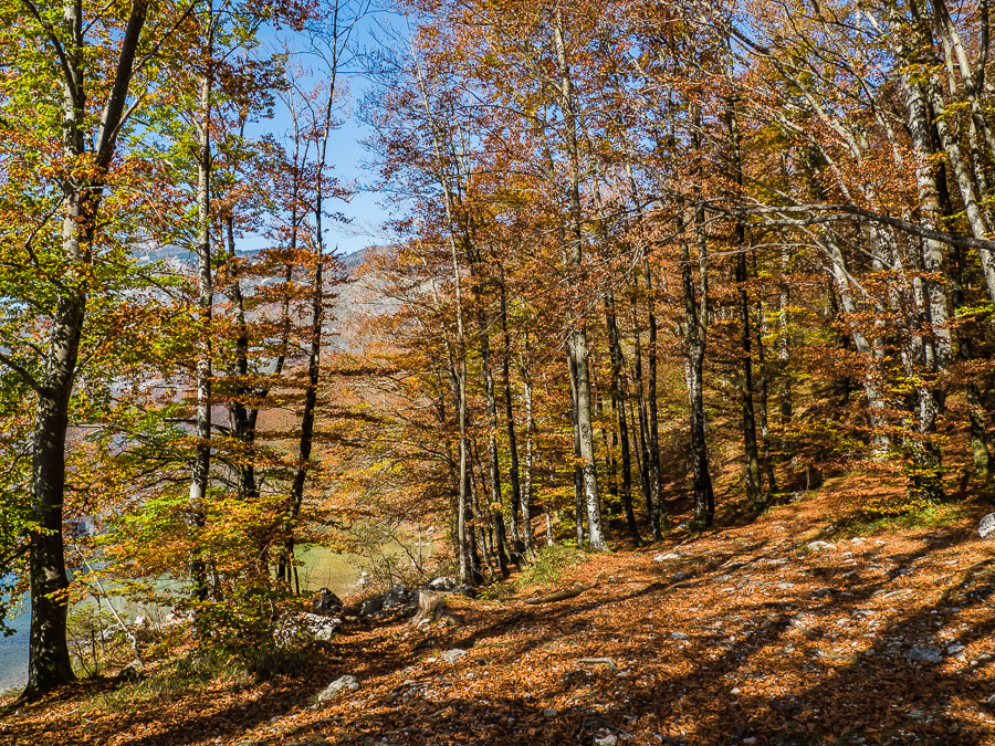 herbst-slowenien