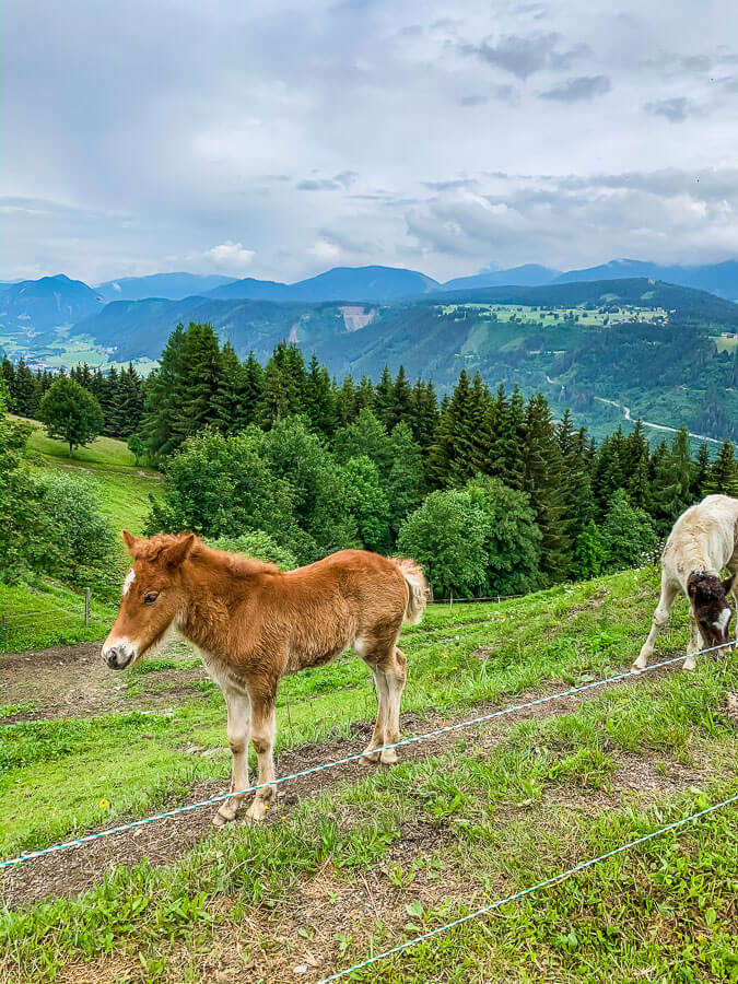 schladming-sommer-planai