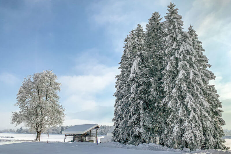 Schnee in Kärnten